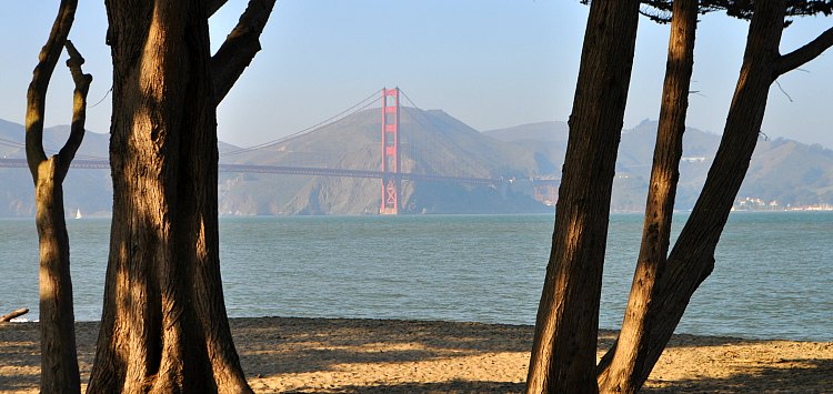 crissy field in san francisco tips to visit this waterfront gem crissy field in san francisco tips to