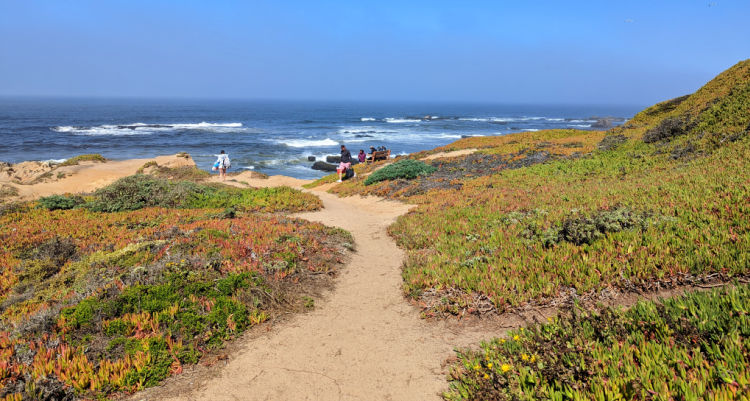 Coming to Half Moon Bay Beaches This Summer? ﻿Here are Tips and