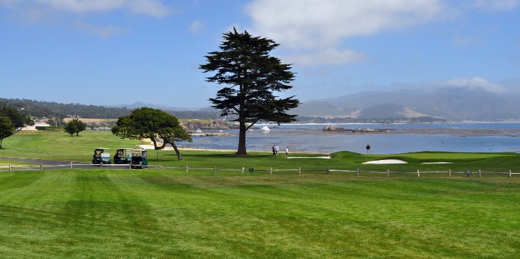 Golf Course in Pebble Beach along 17-Mile Drive