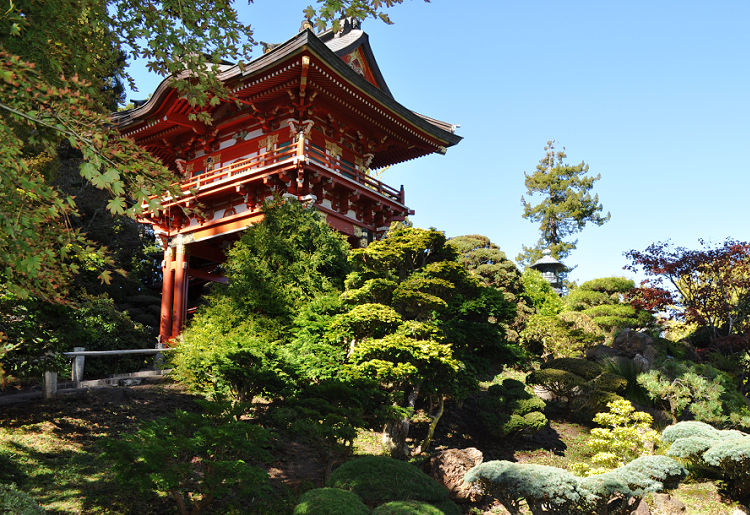 Inside the Japanese Tea Gardens