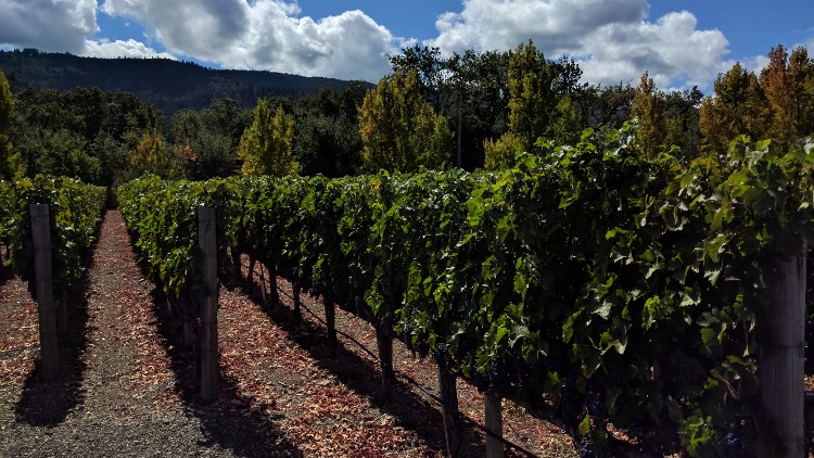 Livermore Valley near San Francisco