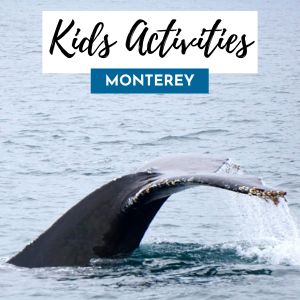 Monterey Kids 300