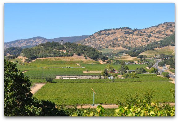 A look from above of Napa Valley vineyards