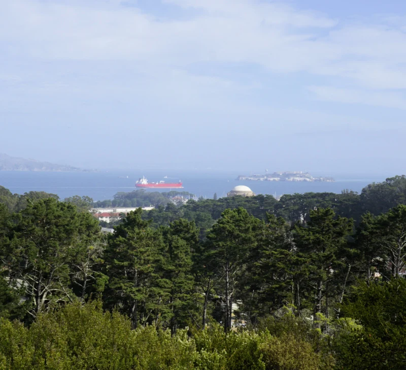 A view over the Presidio from a viewpoint.