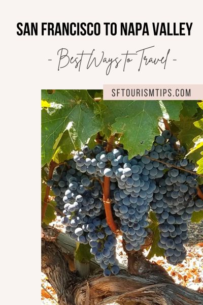 San Francisco to Napa Valley Tips to Get to Wine Country