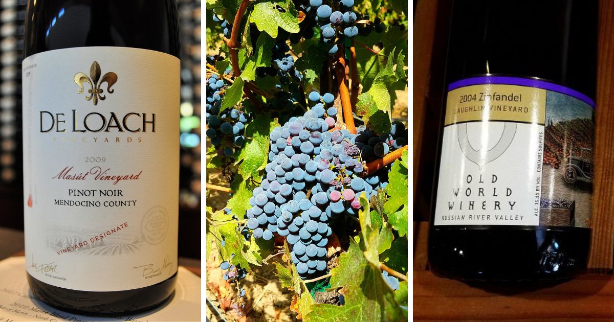 17-best-santa-rosa-wineries-in-northern-california