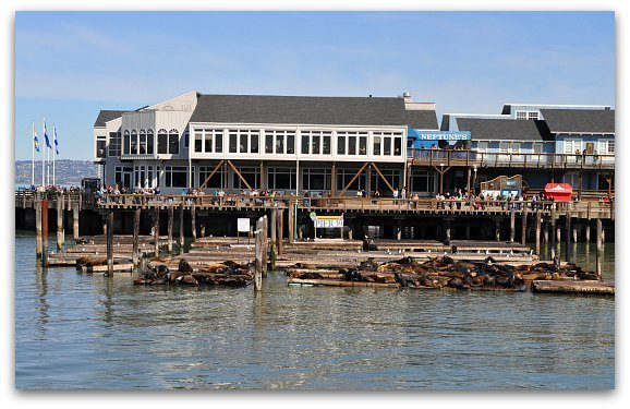 Fisherman's Wharf Pier 39 San Francisco Boutique Hotel