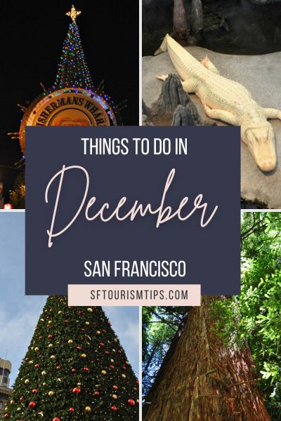 10 Things to do in San Francisco at Christmas - Hellotickets