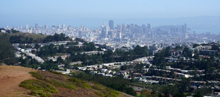 Mount Davidson in San Francisco: Tips to Visit the Highest Peak