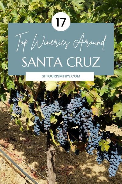 17 Top Santa Cruz Wineries and Wines in Northern California