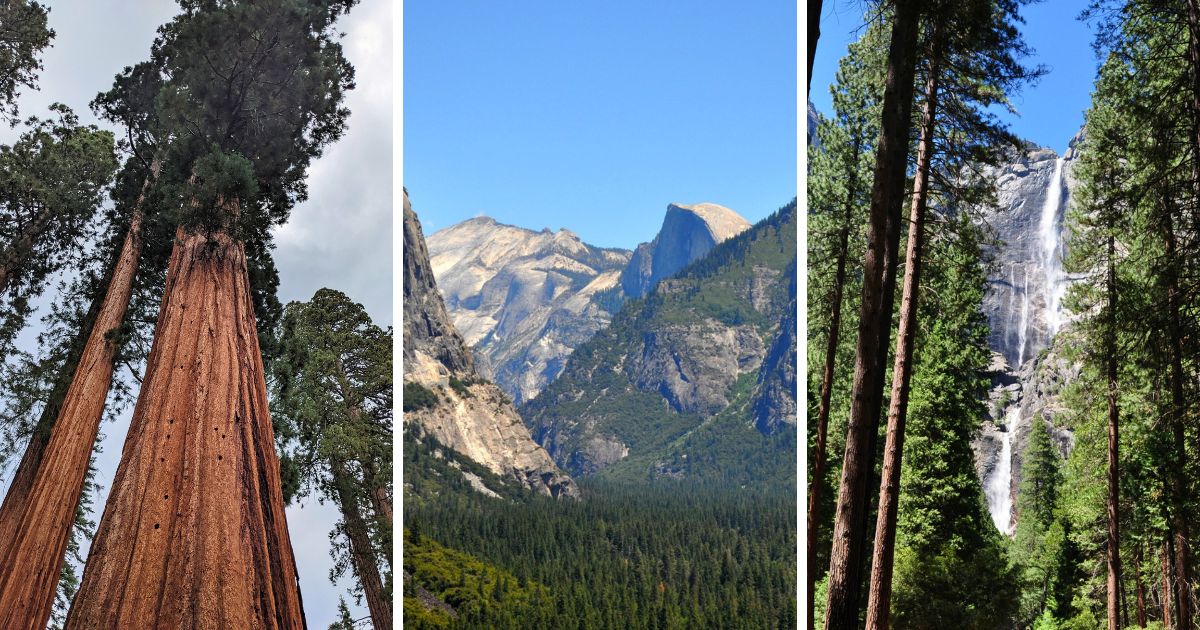 24 Memorable Things to Do in Yosemite with Kids